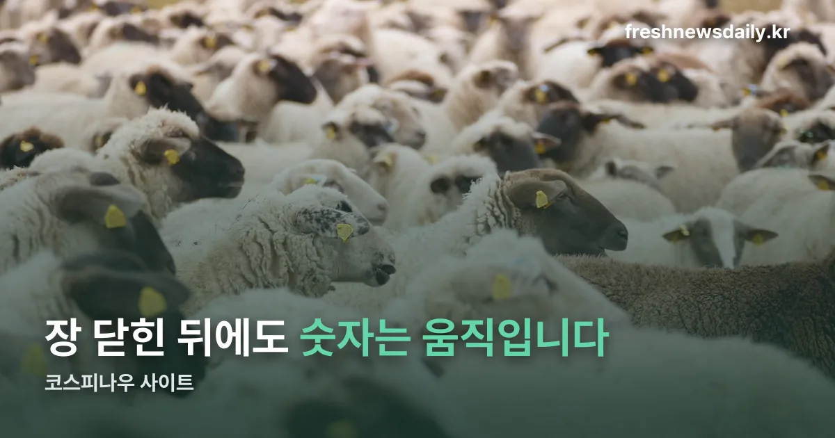 코스피나우 사이트 정리 썸네일