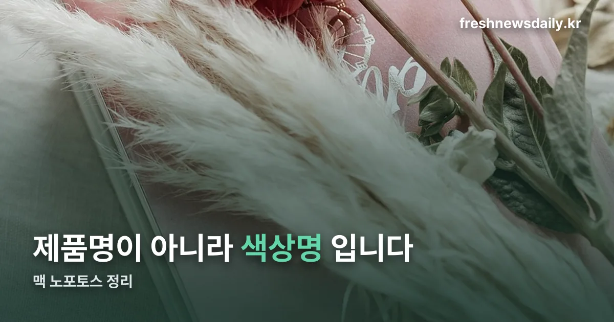 맥 노포토스 정리 썸네일